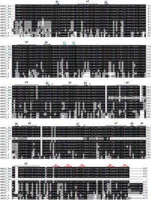 Comparisons of Copy Number, Genomic Structure, and Conserved Motifs for α-Amylase Genes from Barley, Rice, and Wheat